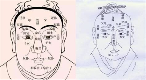 厚道下巴面相|厚道，從面相到醫學的探討┃Zenyum TW